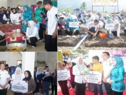 Wagub Sulsel Dorong Kemajuan Pertanian Hingga Pengembangan Pelaku UMKM Kabupaten Enrekang