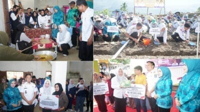 Wagub Sulsel Dorong Kemajuan Pertanian Hingga Pengembangan Pelaku UMKM Kabupaten Enrekang