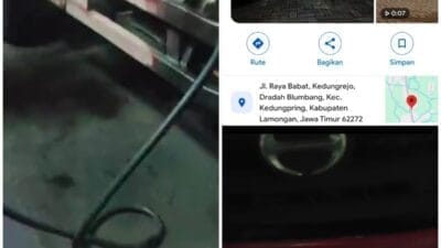 Plat Palsu, Muatan 6 Ton, Solar Subsidi Raib: Skandal BBM di Lamongan Ancam Wibawa Negara