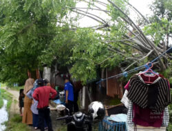 Rumah Warga Bira Rusak Diterjang Angin, BPBD Makassar Hadir Memberi Harapan