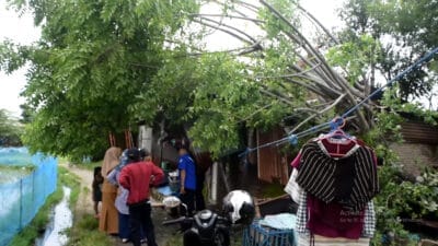Rumah Warga Bira Rusak Diterjang Angin, BPBD Makassar Hadir Memberi Harapan