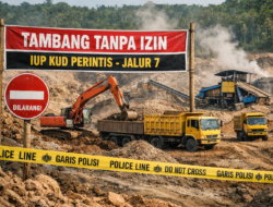 SOROTAN: Tambang Diduga Ilegal di IUP KUD Perintis, AS Alias Ali Disorot Publik