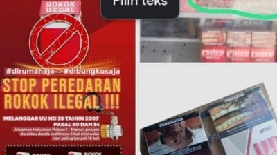 Rokok Ilegal Diduga Bebas Masuk Lewat Pelabuhan Tobelo, Bea Cukai Maluku Utara Diduga Tutup Mata