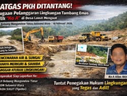 SATGAS PKH Ditantang! Dugaan Pelanggaran Lingkungan Tambang Emas Milik “Ko A” di Desa Lanut Menguat