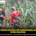 Babinsa Berikan Motivasi dan Pendampingan, Wujudkan Petani Sejahtera