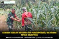Babinsa Berikan Motivasi dan Pendampingan, Wujudkan Petani Sejahtera