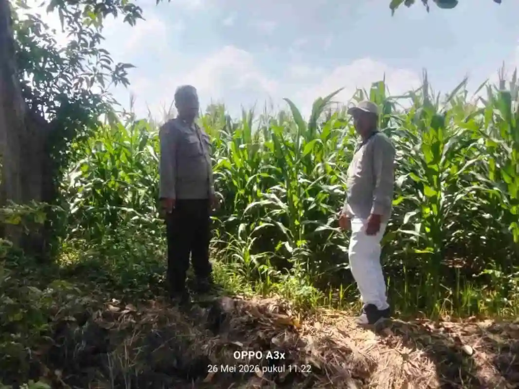 Polisi Turun ke Sawah, Pantau Tanaman Hortikultura demi Ketahanan Pangan Nasional