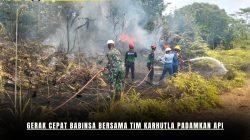 Gerak Cepat Babinsa Bersama Tim Karhutla Padamkan Api